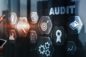audit audit